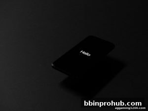 AG真人 bbinprohub